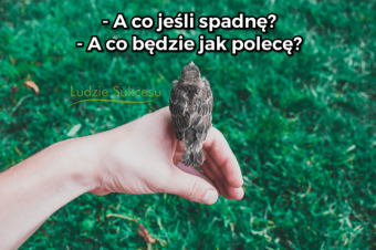 A co będzie jeśli się uda?