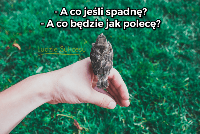 A co będzie jeśli się uda?